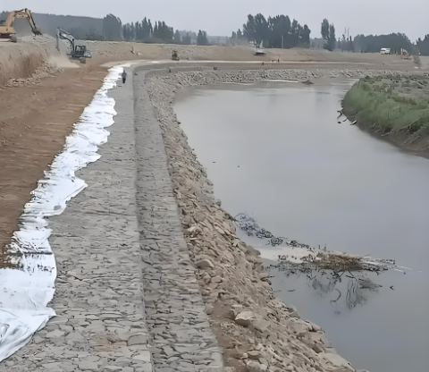 أحدث مدونات الشركة حول آلات شبك الغابيون لتمكين البنية التحتية الخضراء ومشاريع الاستعادة البيئية